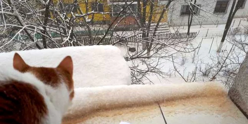 Aşa arată zăpada portocalie fotografiată la Galaţi pe 23 martie 2018 FOTO Costel Crângan