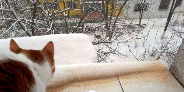 Aşa arată zăpada portocalie fotografiată la Galaţi pe 23 martie 2018 FOTO Costel Crângan