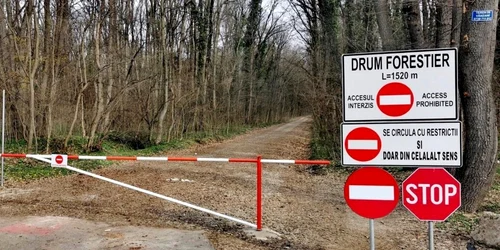 Padure Baneasa pericol drum forestier deschis circulatie auto 1 jpg