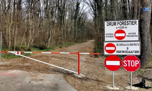 Padure Baneasa pericol drum forestier deschis circulatie auto 1 jpg