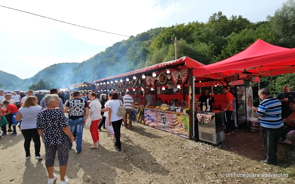 Turcana Regina muntilor sarbatoarea oierilor din Muntii Orastiei   Foto Daniel Guță  ADEVĂRUL (16) jpg