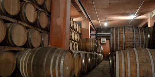 distileriile alexandrion foto dana mihai