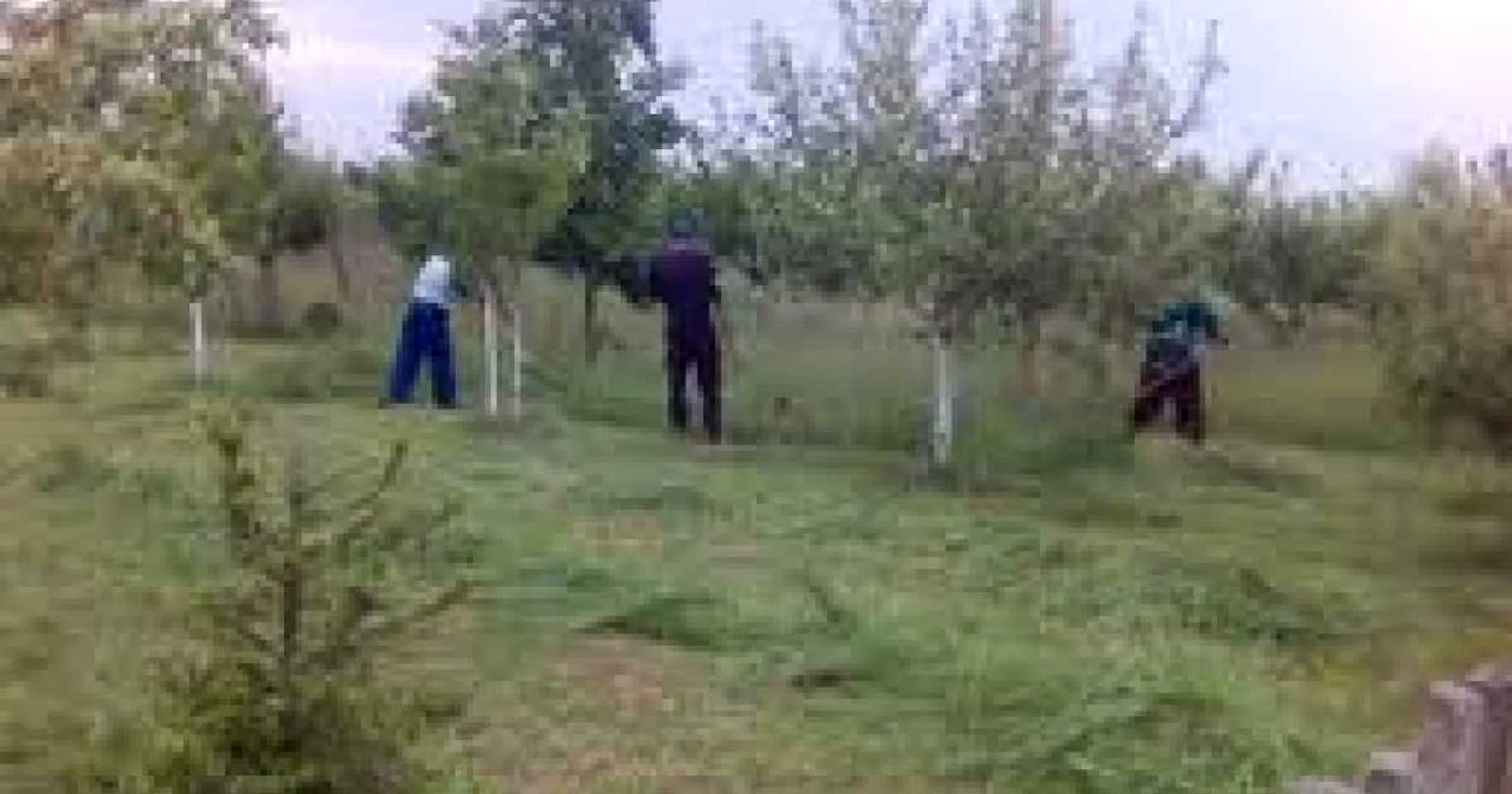 Hotii au intrat in livada duminica dimineata