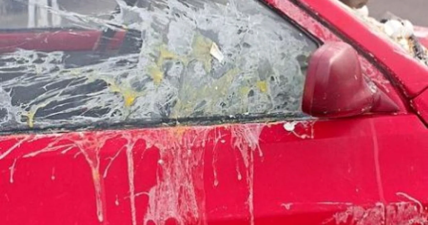 Parbrizul maşinii a fost lovit cu ouă (Foto: ranker.com)