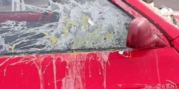 Parbrizul maşinii a fost lovit cu ouă (Foto: ranker.com)