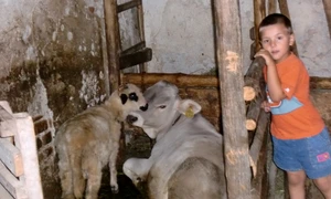 La rude, la ţară jpeg