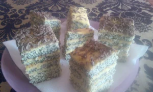 CLIIMA20140512 0094 1 jpeg