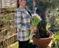 Andreea Marin e o împătimită a bunătăților tradiționale de sărbători