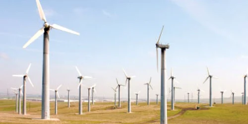 Hidrolelectrica vrea să preia un proiect eolian de 100 de MW