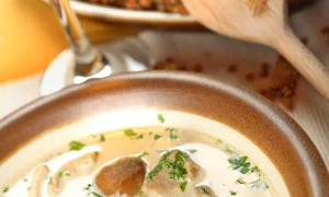 ciulama de hribi jpeg