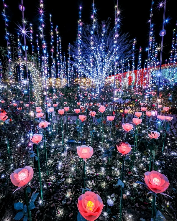 Așa arată unele dintre florile spectaculoase (Foto: Instagram)