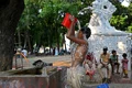 canicula asia profimedia jpg