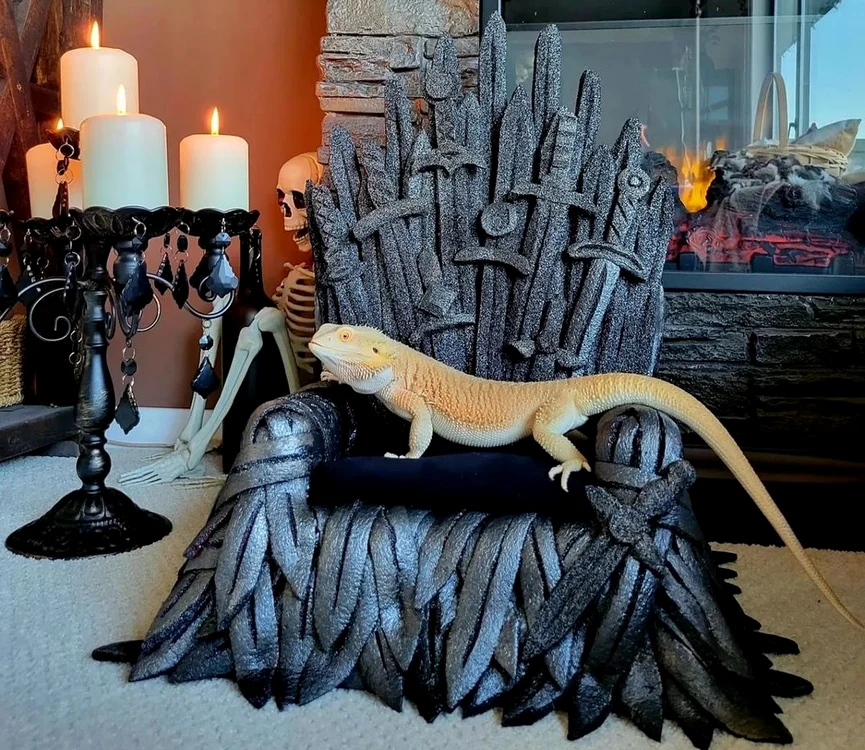Din garderobă nu îi lipsesc costumul Game of Thrones și tronul (foto: Instagram)