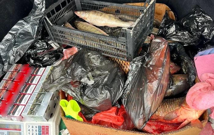 Sute kilograme de pește și icre, confiscate FOTO: Poliția Română