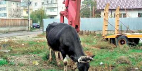 Judeţ cu judeţ: Serviciul Judeţean de Ambulanţă Călăraşi va intra într-un amplu proces de reabilitare şi modernizare