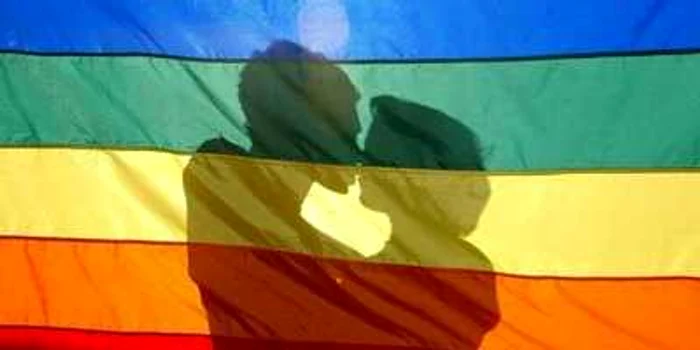 Cuplurile de homosexuali din Austria se pot căsători legal din 2010