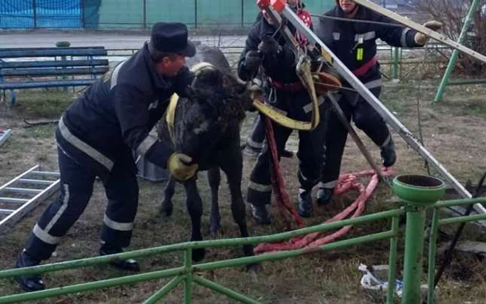 Înscrierile au loc până în data de 17 martie