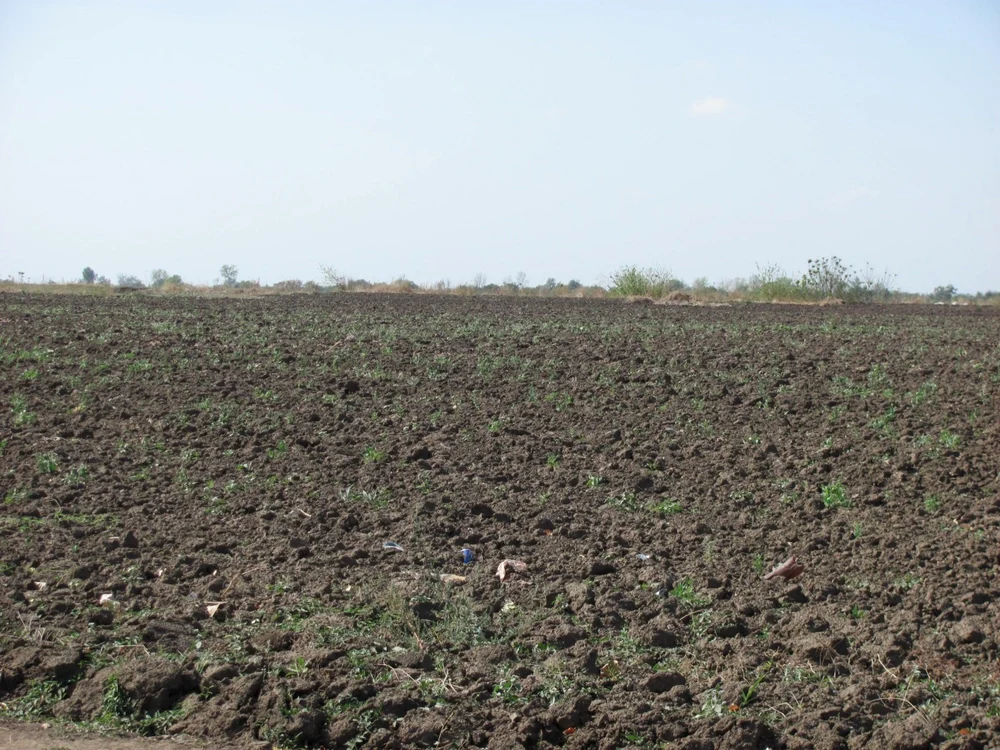 „Se spune că deja 9-10% din terenul agricol este în proprietate străină.“