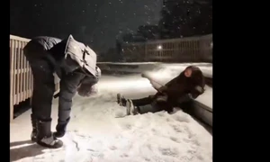 comportament dependent droguri captură video X jpg