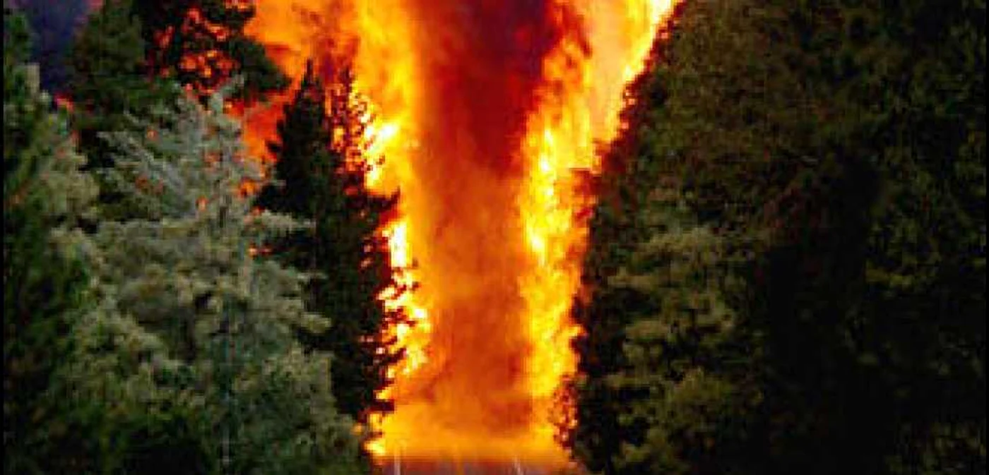 Peste 4.000 de hectare de păduri au fost incendiate în Corsica
