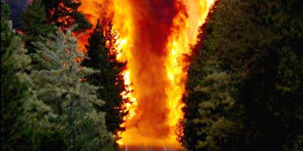 Peste 4.000 de hectare de păduri au fost incendiate în Corsica