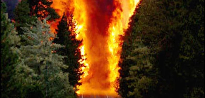 Peste 4.000 de hectare de păduri au fost incendiate în Corsica
