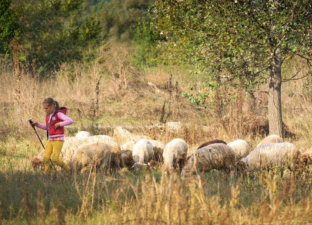 Cu animăluţele pe câmp,  în zilele de vacanţă