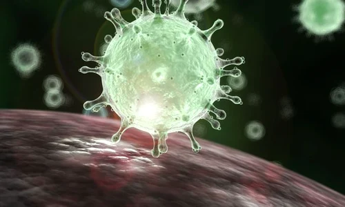coronavirus 1 1 jpeg