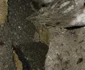 Drum comunal rupt în comuna Slătioara din judeţul Vâlcea din cauza ploilor Foto Adevărul
