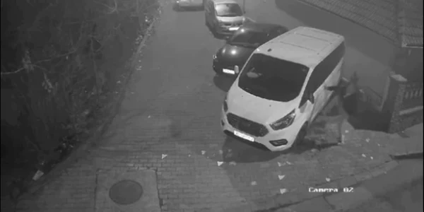 imagini vandal alba iulia, captură video jpg