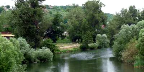 Zona Silvaş