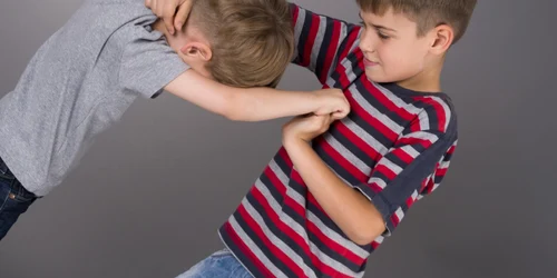 Copii care se bat Shutterstock