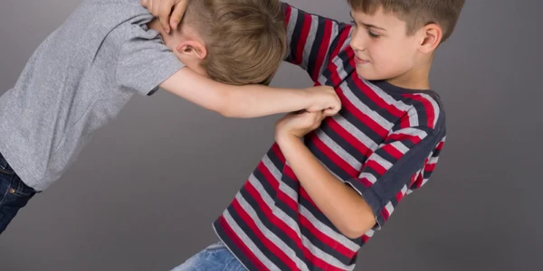 Copii care se bat Shutterstock