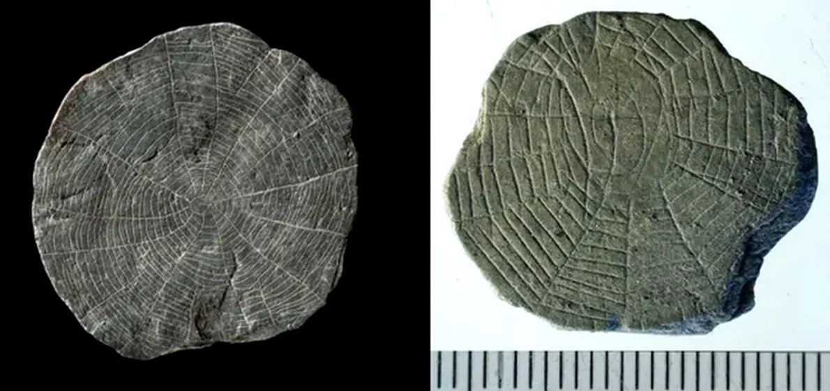 Foto: Bornholm Museum / livescience.com