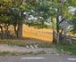 Drumuri din Munții Apuseni  Foto Daniel Guță  ADEVĂRUL (7) jpg