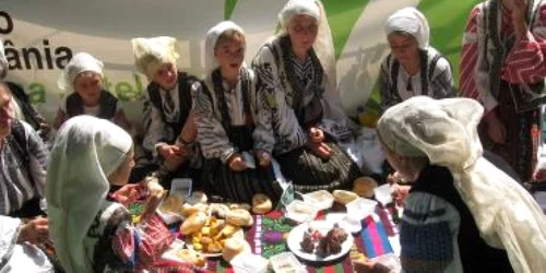 Târgu-Jiu: Prima ediţie a festivalului a avut loc la Tismana