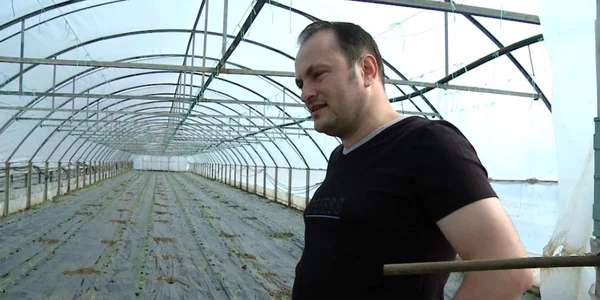 fermier Slobozia madalin sofronie