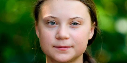 Greta Thunberg Twitter png