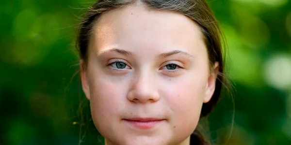 Greta Thunberg Twitter png