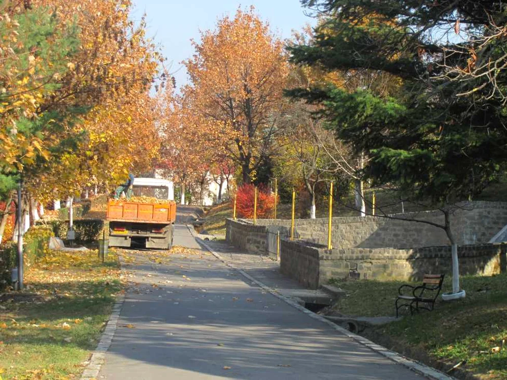 Parcul Tineretului