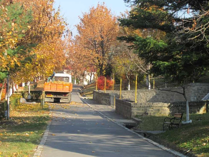 Parcul Tineretului
