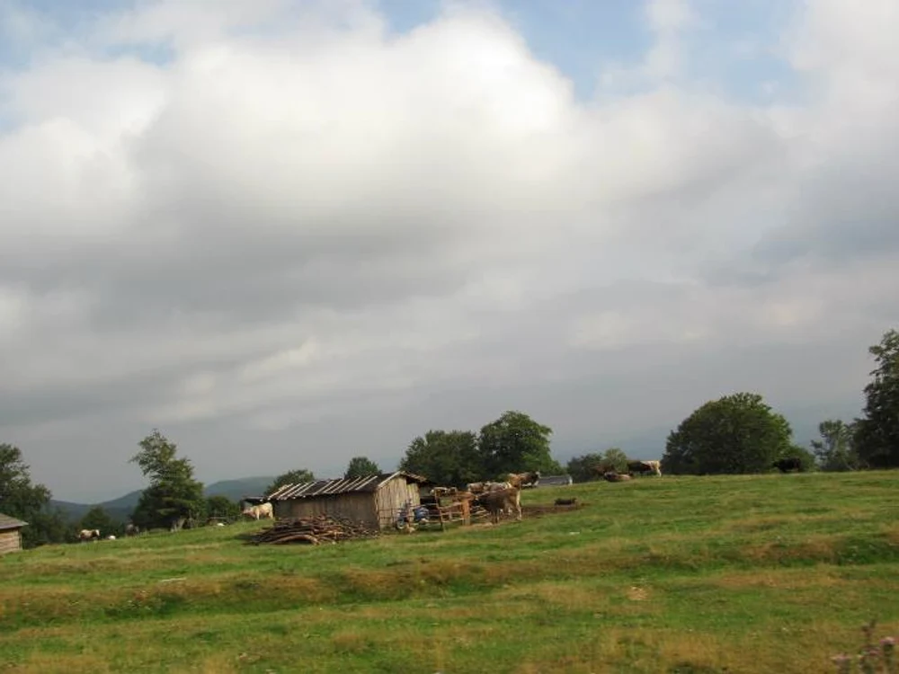 Transalpina