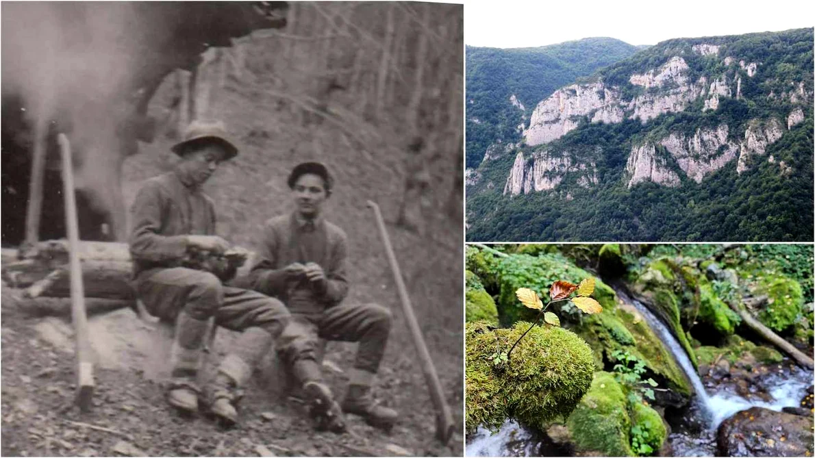 Lucrători forestieri in anii 1950 Foto Richard Marschalko jpg
