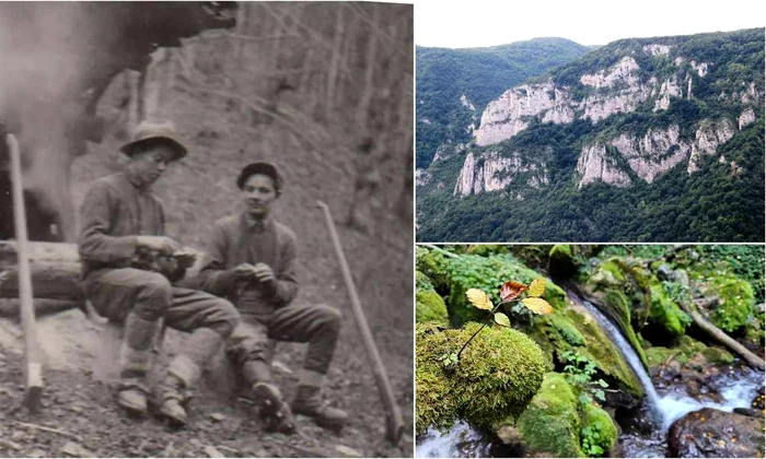 Lucrători forestieri in anii 1950 Foto Richard Marschalko jpg