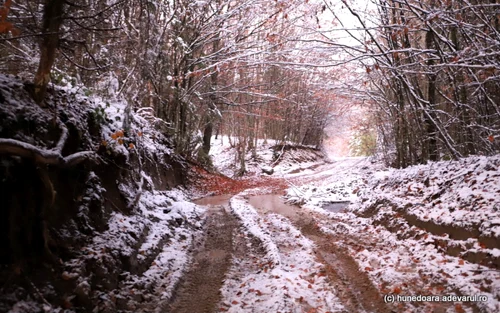 drumuri rele hunedoara foto daniel guta adevarul