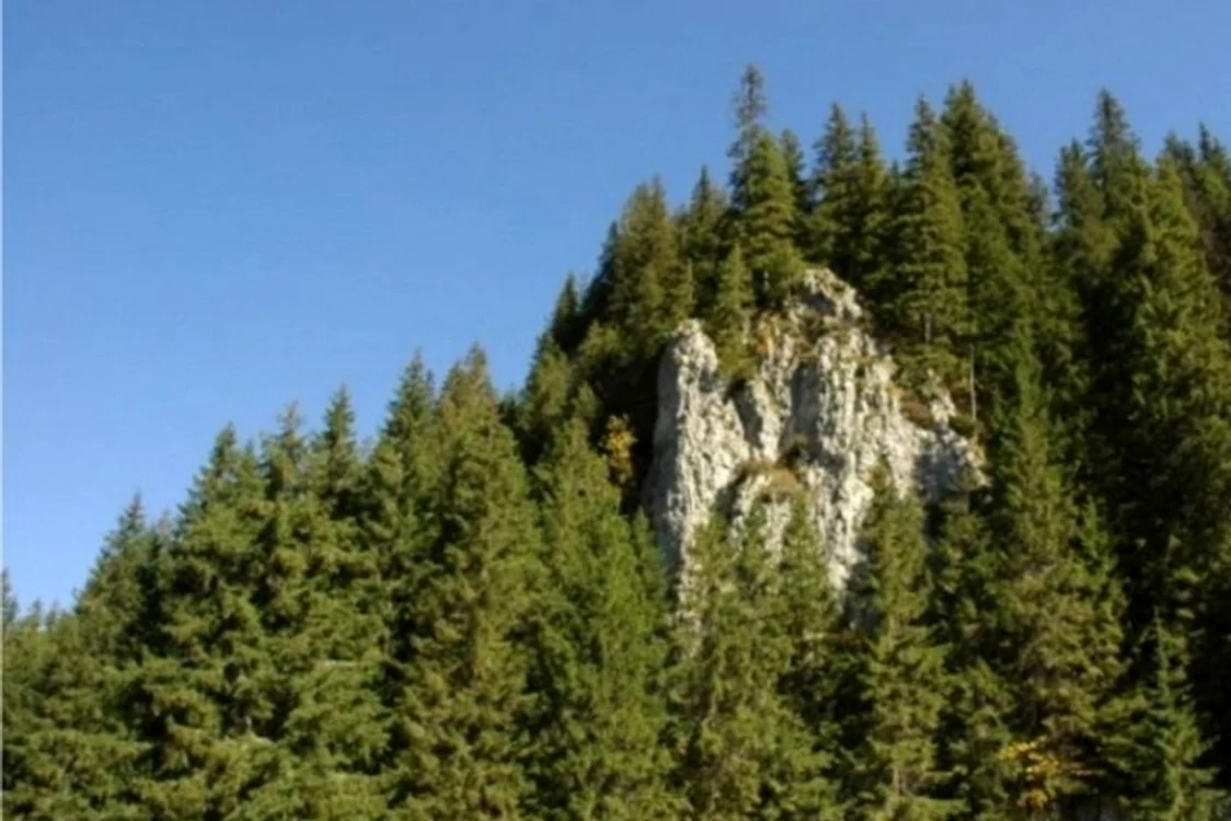 Stâncăria Sâlhoi FOTO infrmatii-romania.ro