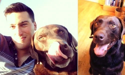 Joe Craig și cățelul lui au avut parte de o peripeție pe cinste jpeg