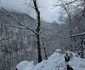 Pasul Vulcan Cascada Lupilor Foto Daniel Guță ADEVĂRUL (6) jpg