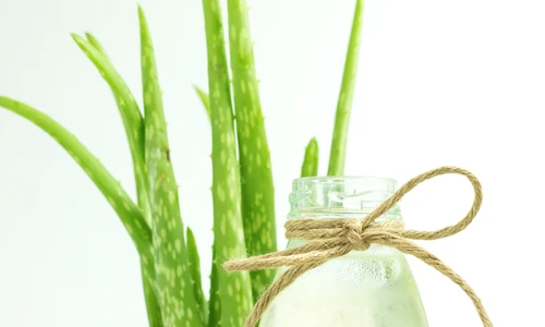 shutterstock 550043440 jpg