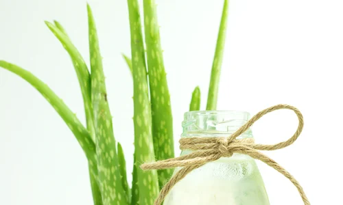 shutterstock 550043440 jpg